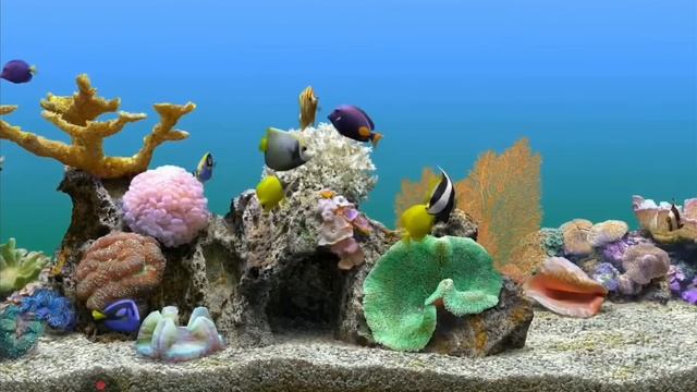 Красивая музыка для сна и отдыха. Шум воды. Релакс. смотреть онлайн