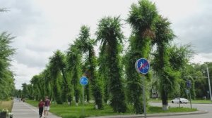 КАК ПРЕКРАСЕН ЭТОТ МИР, ПОСМОТРИ! НОВОКУЗНЕЦК