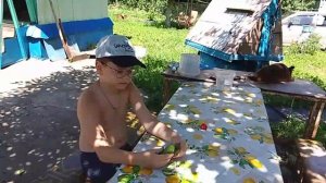 У бабушки в деревне, ем клубнику и огурцы 07-07-2025