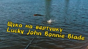 Две щуки , две свечки !!!