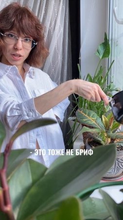 Контентное видео для продвижения IT приложения, соединяющее монтажеров и заказчиков по типу такси.