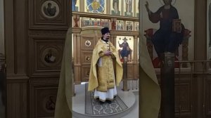 Рождество Иоанна Предтечи. Суеверия праздника. Проповедь о. Вячеслава. 7.7.25