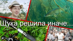 Щука решила иначе...