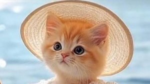 😹 Мяу-ха-ха! Самые смешные приколы с котами с уморительной озвучкой! 🤣