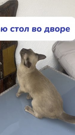 навожу порядок