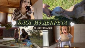 Влог из декрета : неделя в саду и две дома