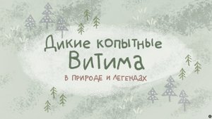Заповедная территория «Полюса» – Дикие копытные Витима