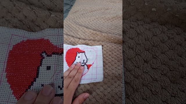 1000003047.mp4