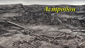 Астродон