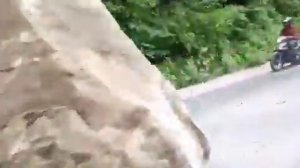 Больше 300 человек пострадали в результате землетрясения в Гватемале. Ещё 2 погибли.