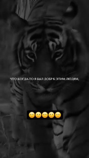 Ты должен понять 👋.mp4