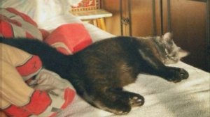 22 Мая 1975 - Ностальгия❤️🙂↕️🇷🇺