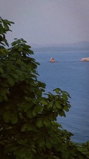 Закаты Владивостока по особому очаровательны