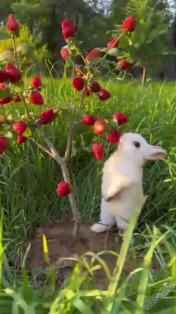 Время - полакомиться )))