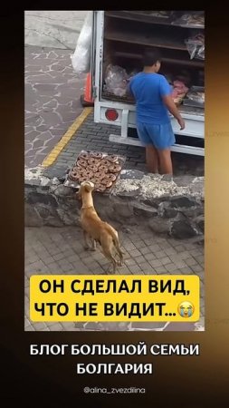 Собака нашла еду, а человек не заметил