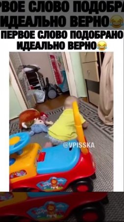 Животные приколы и не только