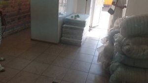 Видео-внутри-Бузулук-Гая-77а720