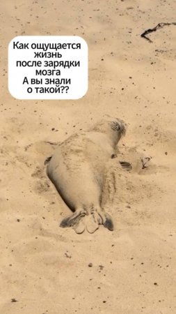 🤗Именно такие ощущения и происходят уже после 10 минут занятий с ежедневником Жизнь прекрасна