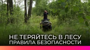 В Новгородских лесах за лето потерялись уже 43 человека