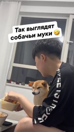 Клип @pozvk