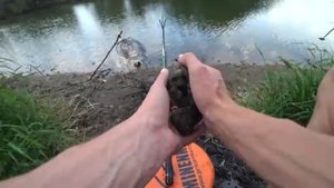 Рыбалка на деревенском пруду на поплавок. Ловля карася на маховую удочку.