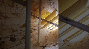 колода,новый  объект на пасеке