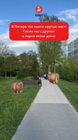 А вы где любите гулять?