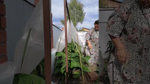 Июль  2025год