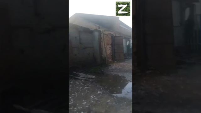 СВО