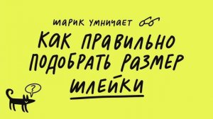 Как подобрать размер шлейки