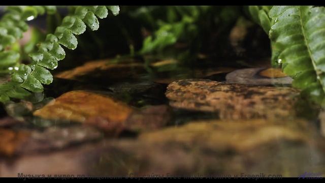 Этот контент создан для жителей будущего - но доступен вам сейчас! - Living Life -- Scott Holmes Mus