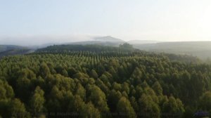 Кадры, сгенерированные нейросетью за секунду - технологии будущего! - Nice to be Near by You (ID 101