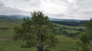 Березовая грива или Хыр Хазын (хакасское название горы)