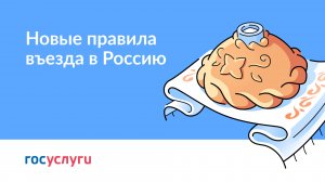 Новые правила въезда в Россию как подготовиться к поездке