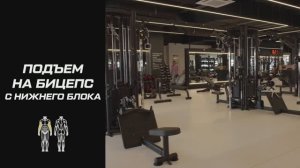 Блочный тренажёр для подъёма на бицепс с нижнего блока: что это такое и как им пользоваться?