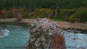 В этом видео природа поёт тебе в ответ - не пропусти - Underwater Exploration -- Kirk Osamayo -- Sea