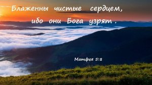 Чистые сердцем Бога узрят