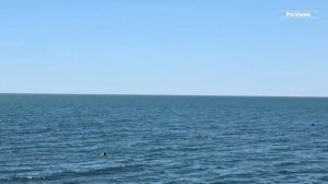 Сочи Адлер Чёрное море сегодня 9 июля 2025. Какая обстановка на пляже сейчас, погода в Сочи сейчас