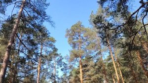 Некоторые моменты из работы девушек по найму в организациях. 4-е женские истории