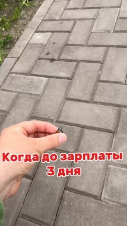 Вкусно и бюджетно 🤣