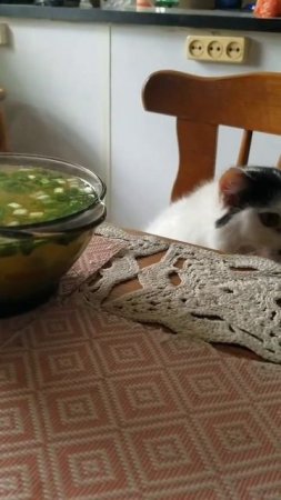 Диета...)))