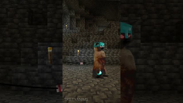 cat in Minecraft