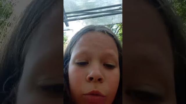 улица