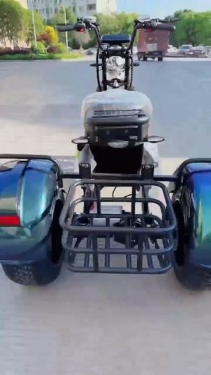 Наша МАРУСЯ! Skyboard MyRussia 3000W с LiFePO4 батареей #электроскутер #skyboard #lfp