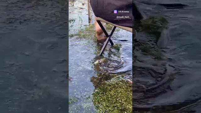 У КОГО-ТО РЫБАЛКА УДАЛАСЬ😁😁😁