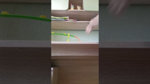 1000001746.mp4
