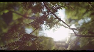 Почему сюда НЕ ЛЕТАЮТ самолёты - Adaptation -- Anthem of Rain -- Unnamed album