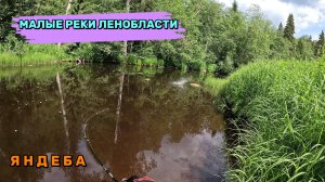 Малые реки Ленобласти: Яндеба. Комбинированная рыбалка: на байдботе к перекату