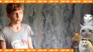 200=100- Коты летают