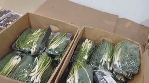 СВЕТОФОР🚦МАГАЗИН ЛОМИТСЯ ОТ ТОВАРОВ❗ Новинки✅Что-то Дешевле👍 Большой обзор 2025